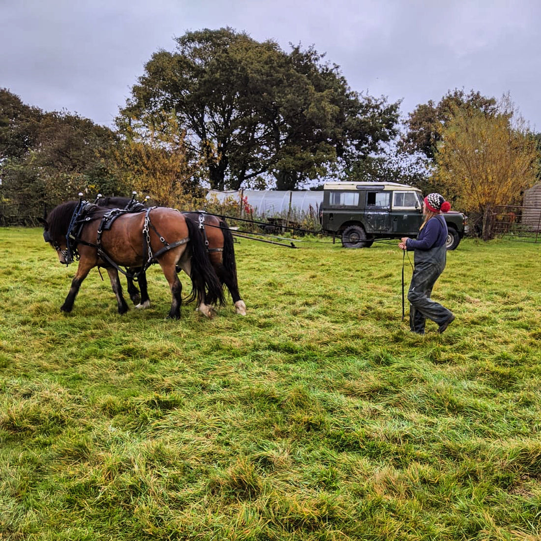 Farming using horses...