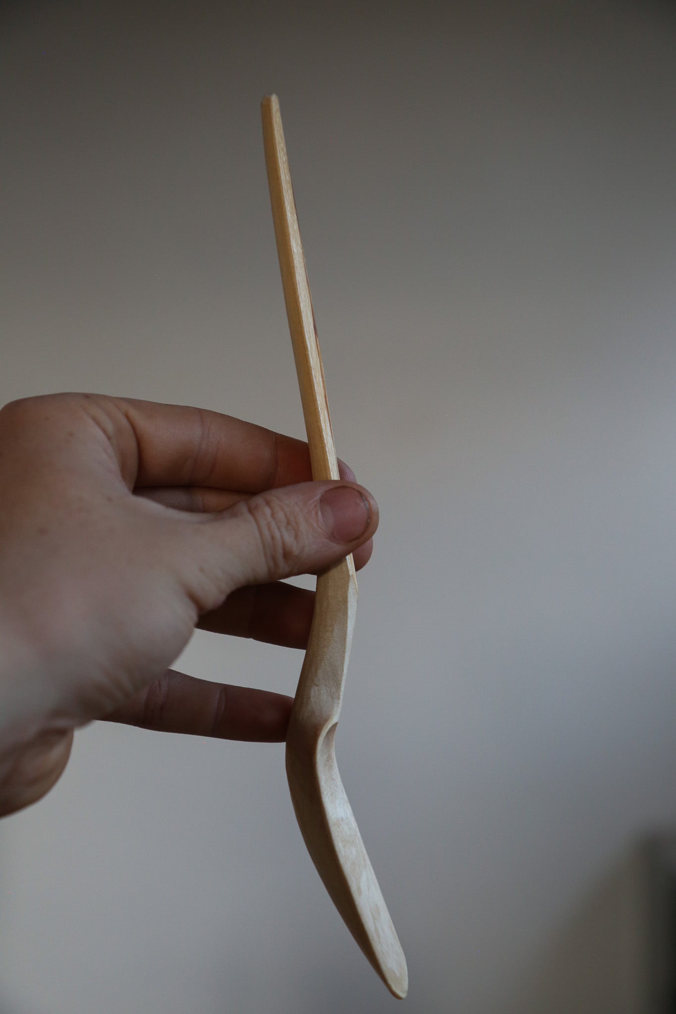 Birch Eating Spoon with Cambium Handle